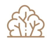 Icono matorral